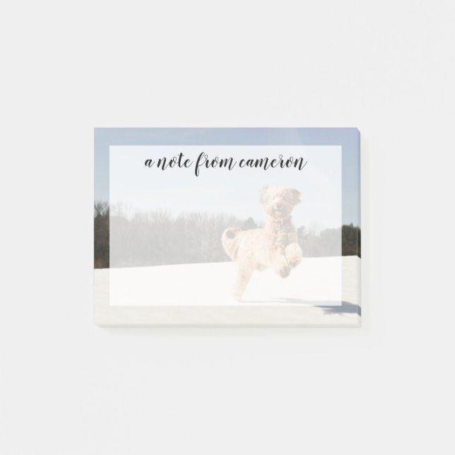 Goldendoodle som löper genom Fält Post-it Block (Framsida)