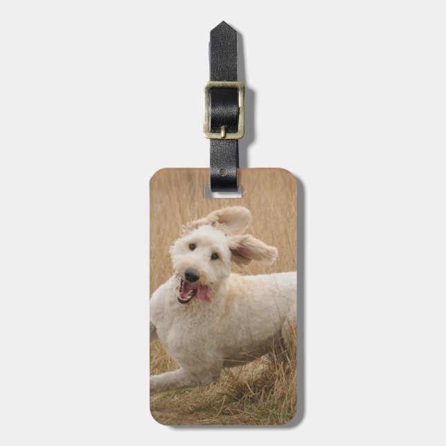Goldendoodle Springa genom gräs Bagagebricka (Vertikal Framsida)