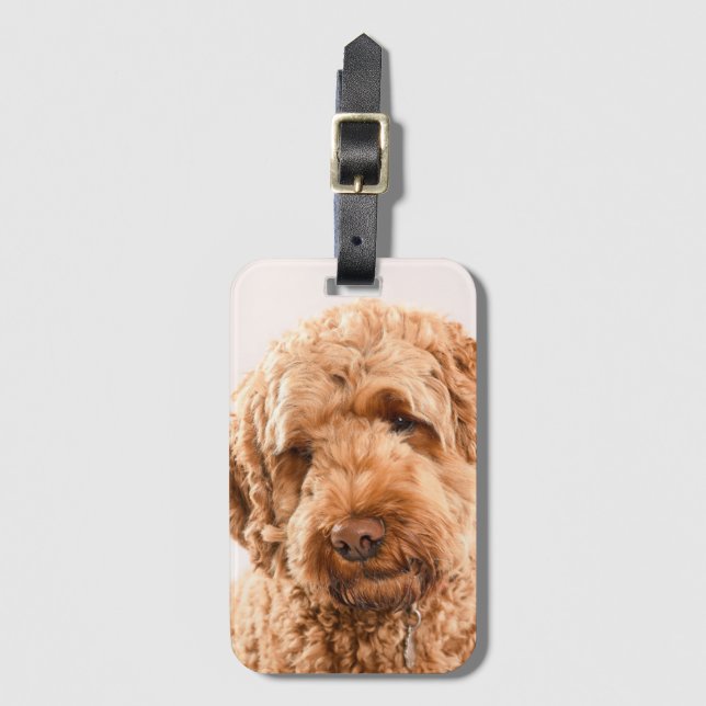 Goldendoodle Studio Porträtt Bagagebricka (Framsida vertikal)