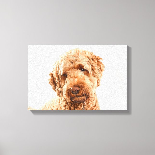Goldendoodle Studio Porträtt Canvastryck (Framsida)