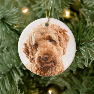 Goldendoodle Studio Porträtt Julgransprydnad Keramik