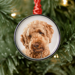 Goldendoodle Studio Porträtt Julgransprydnad Metall