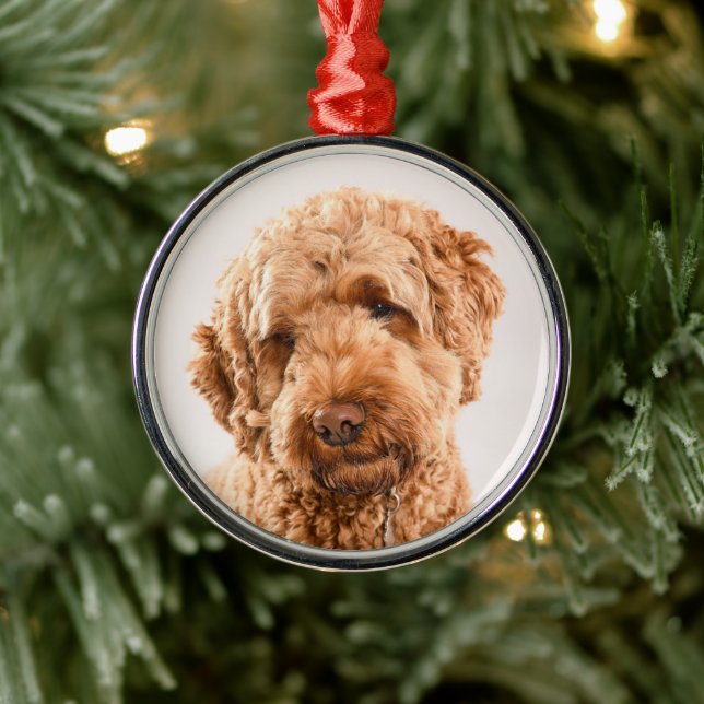 Goldendoodle Studio Porträtt Julgransprydnad Metall (Träd)