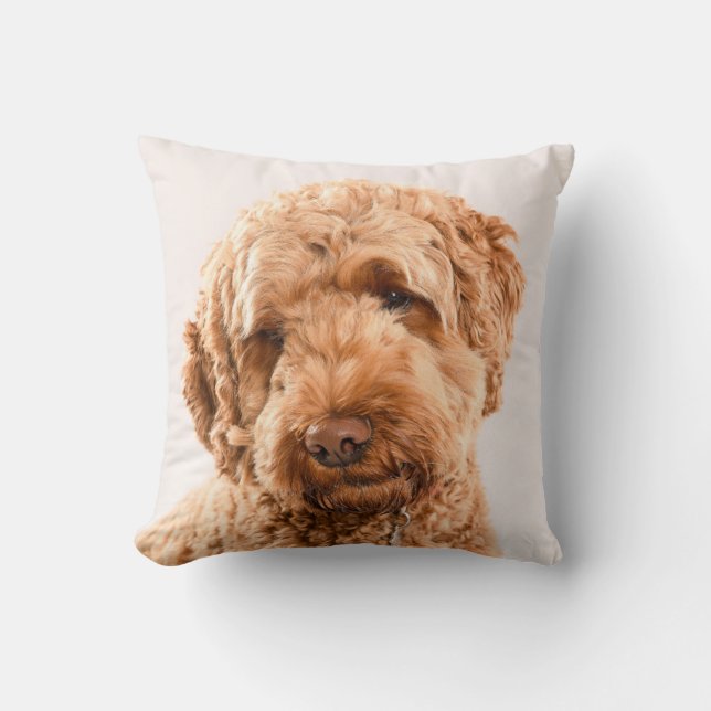 Goldendoodle Studio Porträtt Kudde (Framsida)