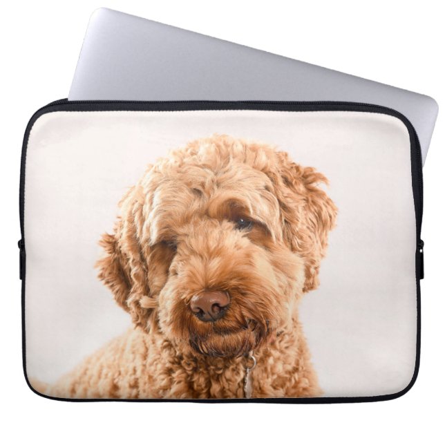 Goldendoodle Studio Porträtt Laptop Fodral (Framsidan)