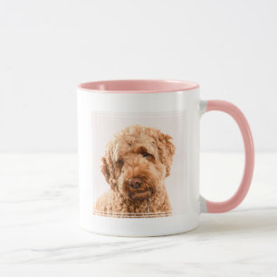 Goldendoodle Studio Porträtt Mugg