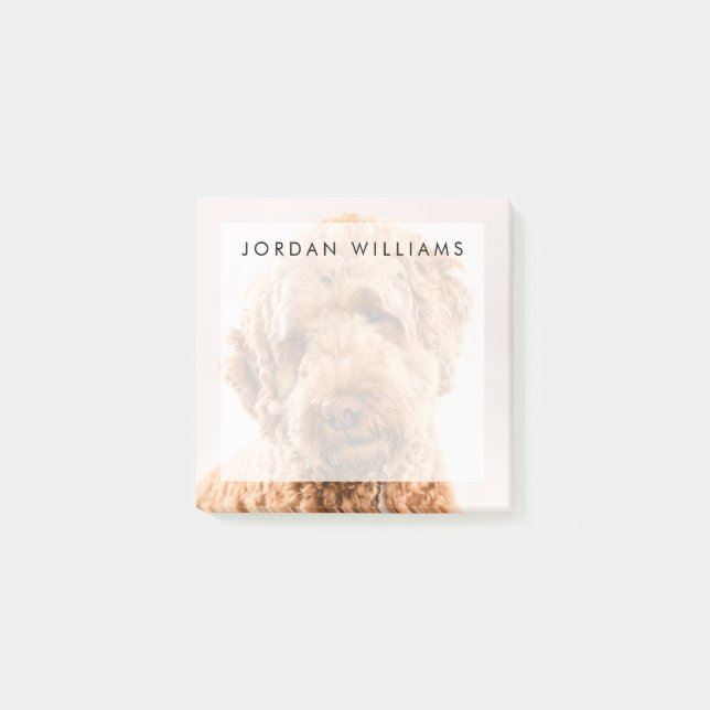 Goldendoodle Studio Porträtt Post-it Block (Framsida)
