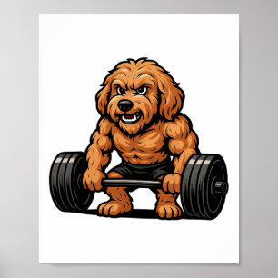 Goldendoodle tyngdlyftning kroppsbyggare träning G Poster