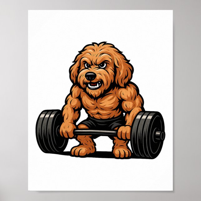 Goldendoodle tyngdlyftning kroppsbyggare träning G Poster (Framsidan)
