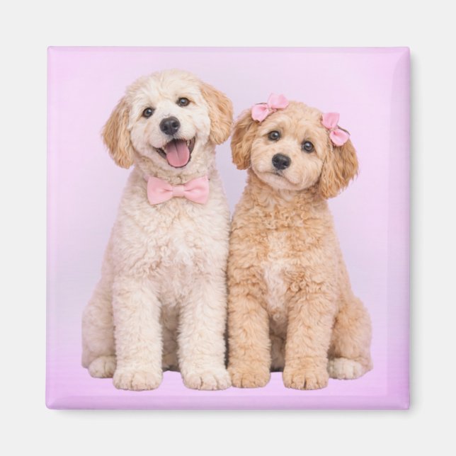 Goldendoodle Valentine Magnet för Valentinsdag (Framsidan)