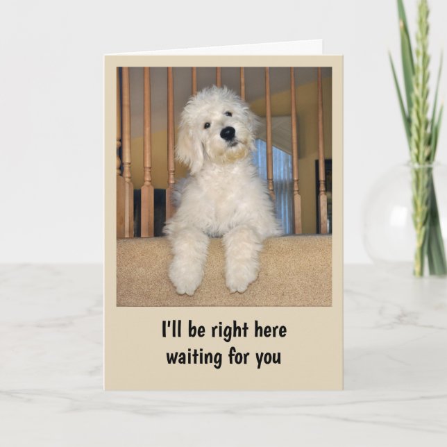 Goldendoodle-valfritt tillfälle-kort kort (Framsida)