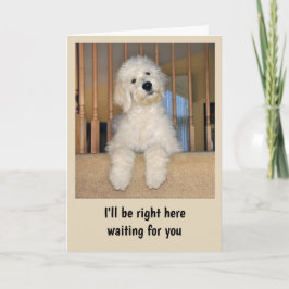 Goldendoodle-valfritt tillfälle-kort kort