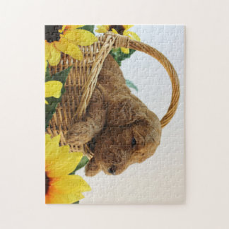 Goldendoodle valp 11X14 (252 PC.) Pussel