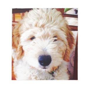 Goldendoodle valp anteckningsblock