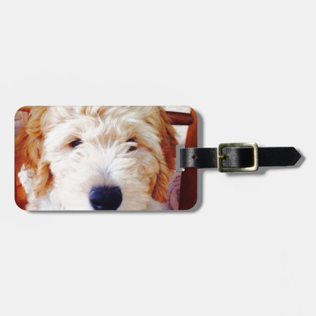 Goldendoodle valp bagagebricka (Horisontell Framsida)