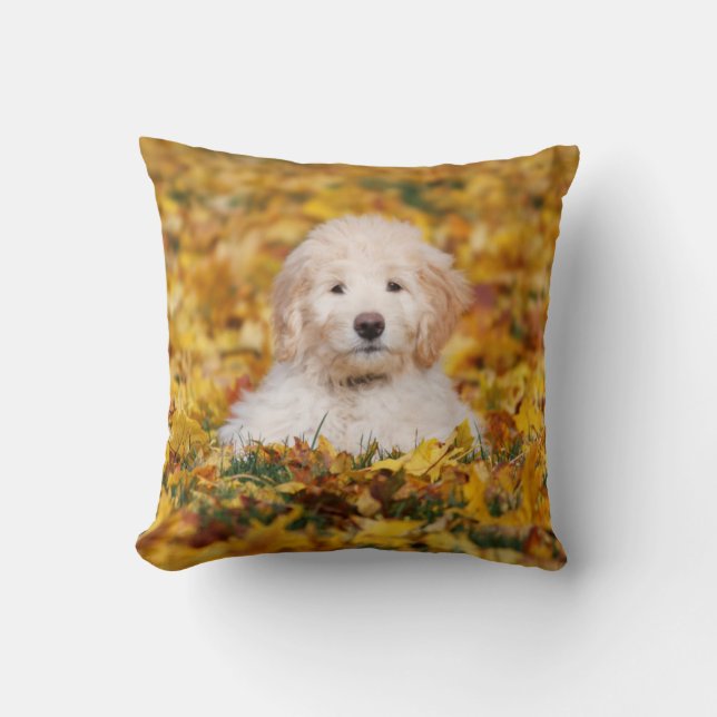 Goldendoodle-valp i höstlöv kudde (Framsida)