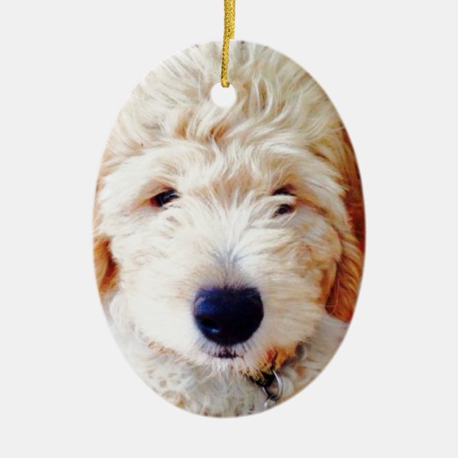 Goldendoodle valp julgransprydnad keramik (Framsidan)