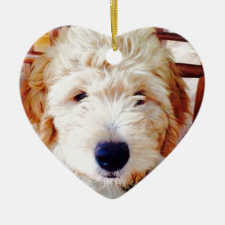 Goldendoodle valp julgransprydnad keramik