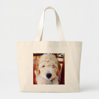 Goldendoodle valp jumbo tygkasse