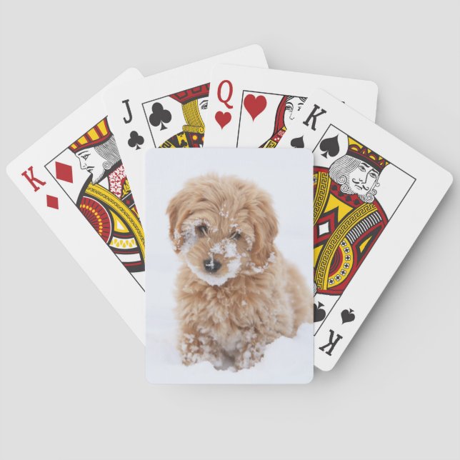 Goldendoodle-valp med Snö på Ansikte Casinokort (Baksidan)