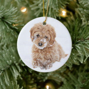 Goldendoodle-valp med Snö på Ansikte Julgransprydnad Keramik