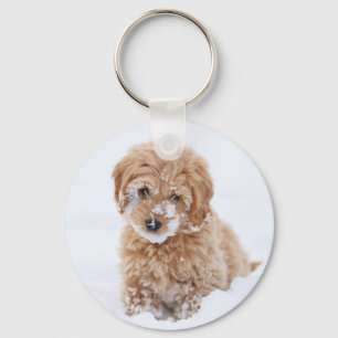 Goldendoodle-valp med Snö på Ansikte Nyckelring