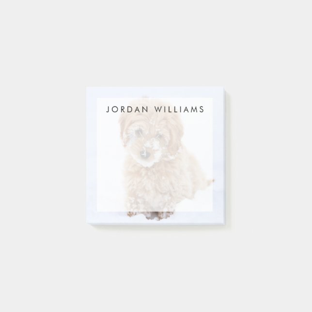 Goldendoodle-valp med Snö på Ansikte Post-it Block (Framsida)