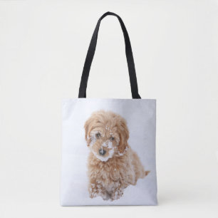 Goldendoodle-valp med Snö på Ansikte Tygkasse