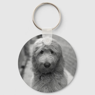 Goldendoodle-valpar på bakgården nyckelring