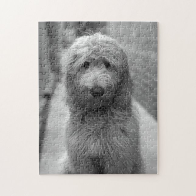 Goldendoodle-valpar på bakgården pussel (Vertikal)