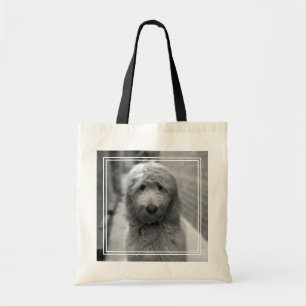 Goldendoodle-valpar på bakgården tygkasse