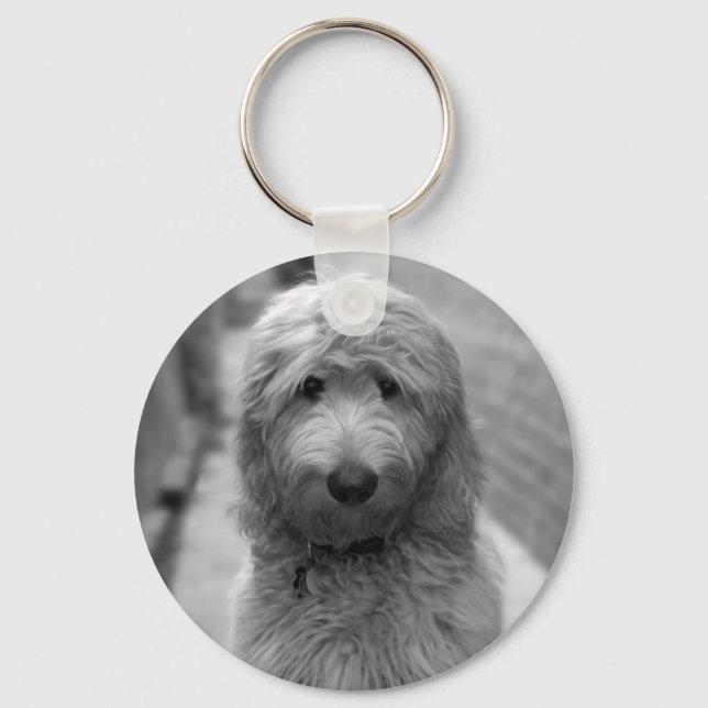 Goldendoodle-valpen i bakgården nyckelring (Framsida)