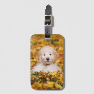 Goldendoodle-valpen i Höst löv Bagagebricka