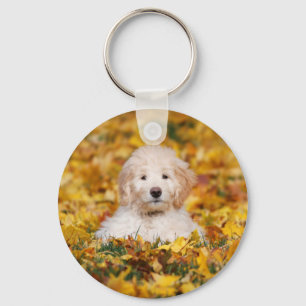 Goldendoodle-valpen i Höst löv Nyckelring