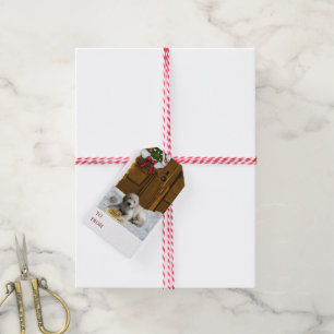 Goldendoodle valpjul presentetikett