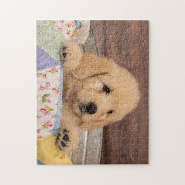 Goldendoodle valppussel pussel (Vertikal)