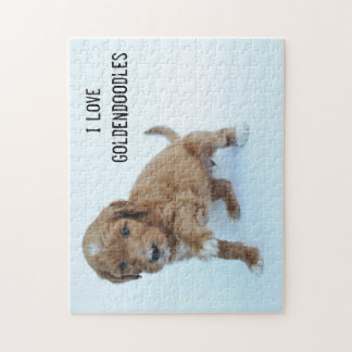 Goldendoodle valppussel pussel