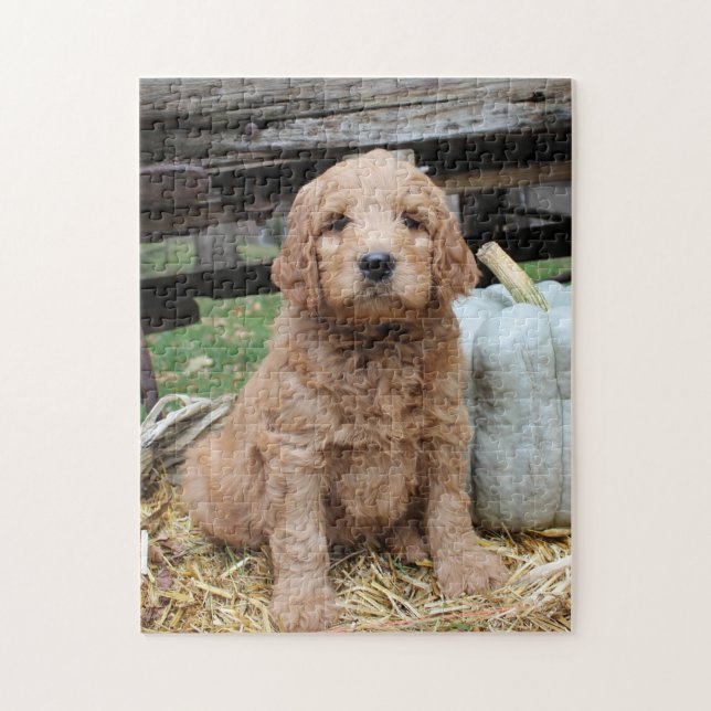Goldendoodle valppussel pussel (Vertikal)