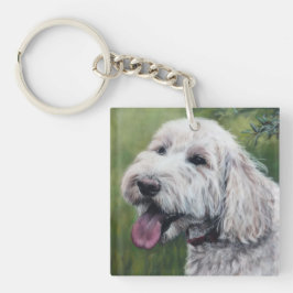 Goldendoodle, vit valp