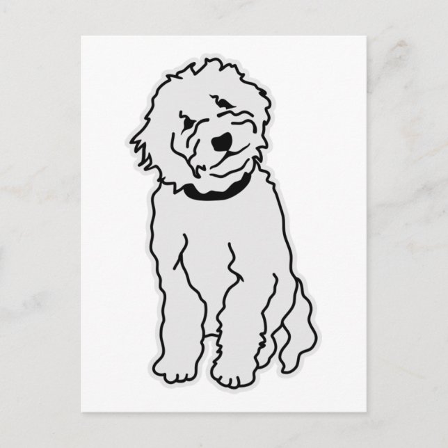 Goldendoodle Vykort (Framsida)