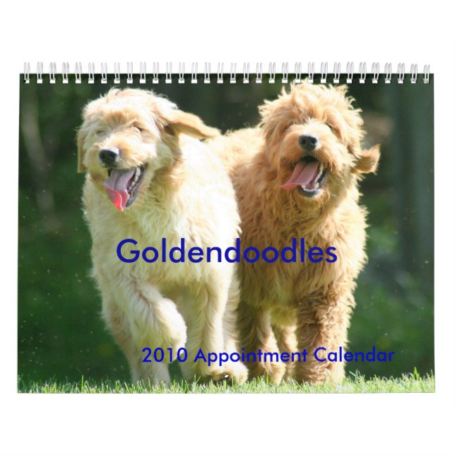 Goldendoodles Kalender (Omslag)