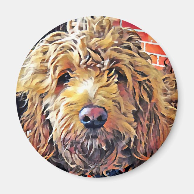 Goldendoolde Puppy Magnet (Framsidan)