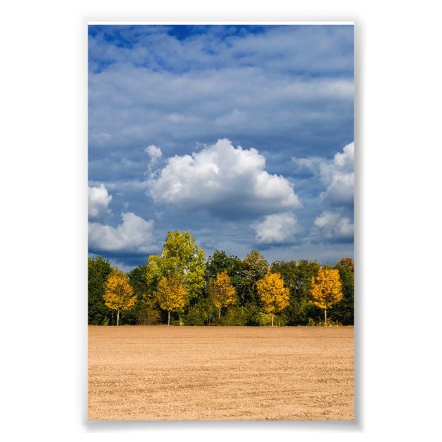 Goldener Herbst Fototryck (Framsidan)