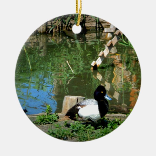 goldeneyeanka på damm julgransprydnad keramik (Framsidan)