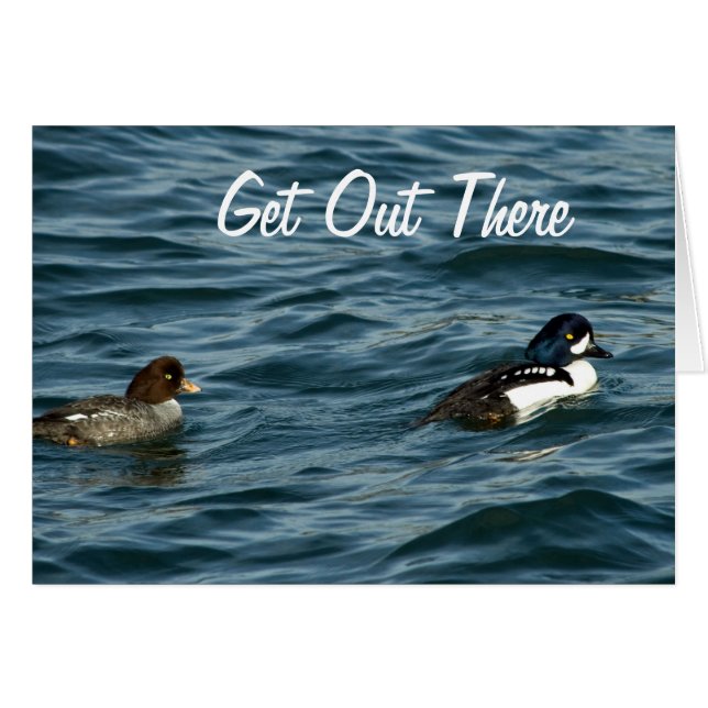 Goldeneyen duckar ut där hälsningskort (Framsidan Horizontal)