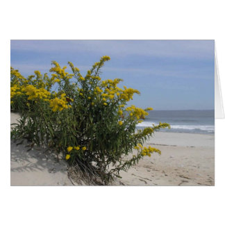 Goldenrod vid havet hälsningskort