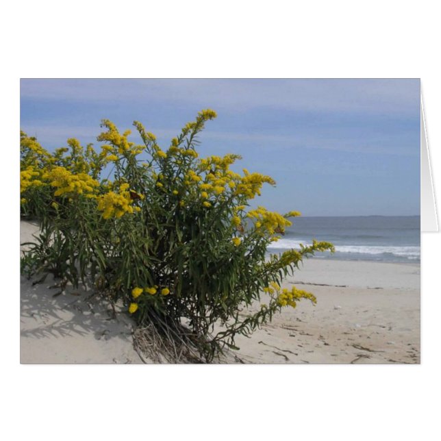 Goldenrod vid havet hälsningskort (Framsidan Horizontal)