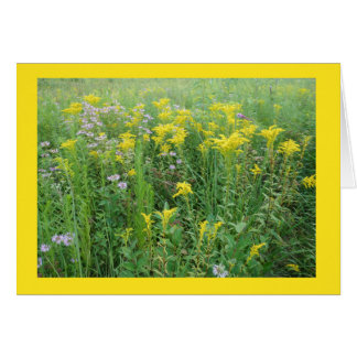Goldernrod i Wisconsin Prairie Garden Hälsningskort