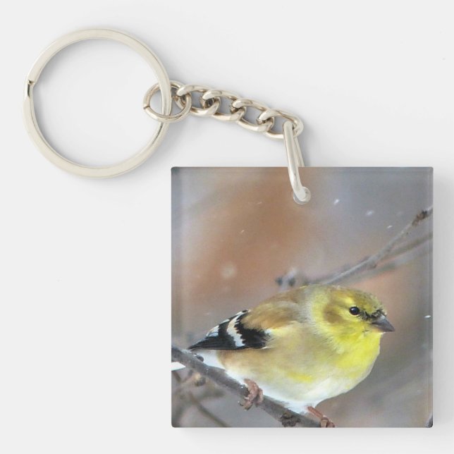 Goldfinch (Framsidan)