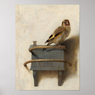 Goldfinch 1654 av Carel Fabritius Poster